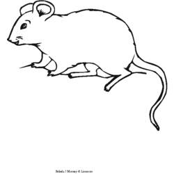 ぬりえページ: マウス (動物) #14111 - 無料の印刷可能なぬりえページ