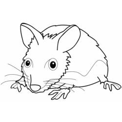 ぬりえページ: マウス (動物) #14130 - 無料の印刷可能なぬりえページ