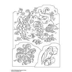 ぬりえページ: タコ (動物) #18985 - 無料の印刷可能なぬりえページ