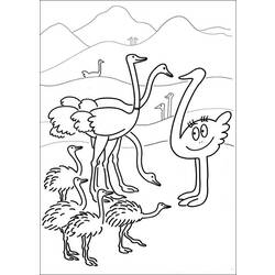 ぬりえページ: ダチョウ (動物) #722 - 無料の印刷可能なぬりえページ