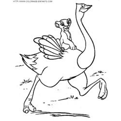 ぬりえページ: ダチョウ (動物) #737 - 無料の印刷可能なぬりえページ