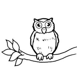 ぬりえページ: フクロウ (動物) #8462 - 無料の印刷可能なぬりえページ