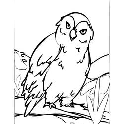 ぬりえページ: フクロウ (動物) #8467 - 無料の印刷可能なぬりえページ