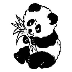ぬりえページ: パンダ (動物) #12438 - 無料の印刷可能なぬりえページ