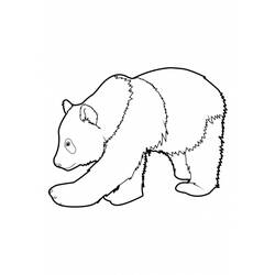 ぬりえページ: パンダ (動物) #12452 - 無料の印刷可能なぬりえページ