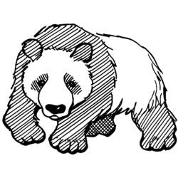 ぬりえページ: パンダ (動物) #12462 - 無料の印刷可能なぬりえページ