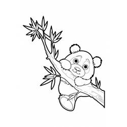 ぬりえページ: パンダ (動物) #12476 - 無料の印刷可能なぬりえページ