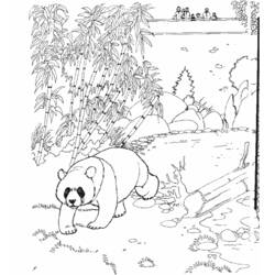 ぬりえページ: パンダ (動物) #12486 - 無料の印刷可能なぬりえページ