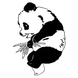 ぬりえページ: パンダ (動物) #12499 - 無料の印刷可能なぬりえページ