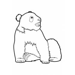 ぬりえページ: パンダ (動物) #12514 - 無料の印刷可能なぬりえページ