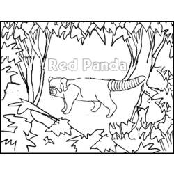ぬりえページ: パンダ (動物) #12596 - 無料の印刷可能なぬりえページ