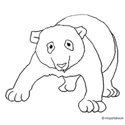ぬりえページ: パンダ (動物) #12621 - 無料の印刷可能なぬりえページ