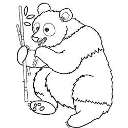 ぬりえページ: パンダ (動物) #175213 - 無料の印刷可能なぬりえページ