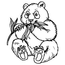ぬりえページ: パンダ (動物) #175214 - 無料の印刷可能なぬりえページ