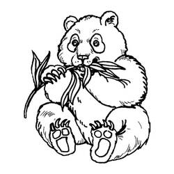 ぬりえページ: パンダ (動物) #175216 - 無料の印刷可能なぬりえページ
