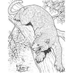 ぬりえページ: パンサー (動物) #15518 - 無料の印刷可能なぬりえページ