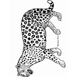 ぬりえページ: パンサー (動物) #15520 - 無料の印刷可能なぬりえページ