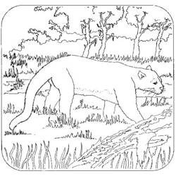 ぬりえページ: パンサー (動物) #15547 - 無料の印刷可能なぬりえページ
