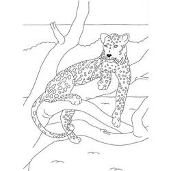 ぬりえページ: パンサー (動物) #15557 - 無料の印刷可能なぬりえページ