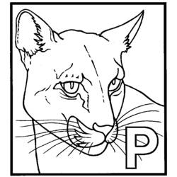 ぬりえページ: パンサー (動物) #15594 - 無料の印刷可能なぬりえページ