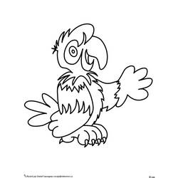 ぬりえページ: オウム (動物) #16161 - 無料の印刷可能なぬりえページ