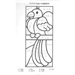 ぬりえページ: オウム (動物) #16179 - 無料の印刷可能なぬりえページ