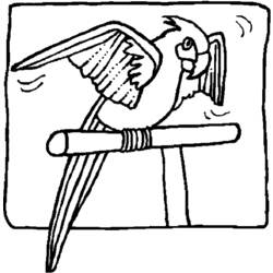 ぬりえページ: オウム (動物) #16206 - 無料の印刷可能なぬりえページ