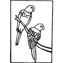 ぬりえページ: オウム (動物) #16212 - 無料の印刷可能なぬりえページ