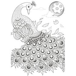 ぬりえ: クジャク - 無料の印刷可能なぬりえページ
