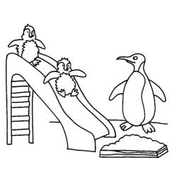 ぬりえページ: ペンギン (動物) #16825 - 無料の印刷可能なぬりえページ