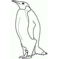 ぬりえページ: ペンギン (動物) #16842 - 無料の印刷可能なぬりえページ