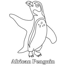 ぬりえページ: ペンギン (動物) #16847 - 無料の印刷可能なぬりえページ