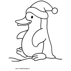 ぬりえページ: ペンギン (動物) #16863 - 無料の印刷可能なぬりえページ