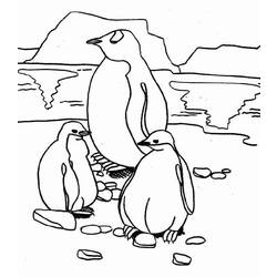 ぬりえページ: ペンギン (動物) #16876 - 無料の印刷可能なぬりえページ