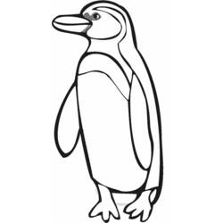 ぬりえページ: ペンギン (動物) #16877 - 無料の印刷可能なぬりえページ