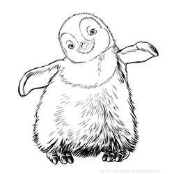 ぬりえページ: ペンギン (動物) #16887 - 無料の印刷可能なぬりえページ