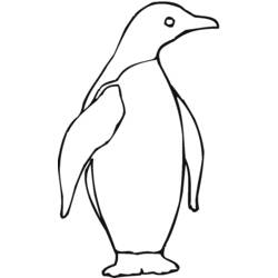 ぬりえページ: ペンギン (動物) #16900 - 無料の印刷可能なぬりえページ