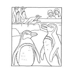 ぬりえページ: ペンギン (動物) #16901 - 無料の印刷可能なぬりえページ