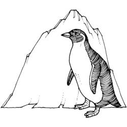 ぬりえページ: ペンギン (動物) #16943 - 無料の印刷可能なぬりえページ