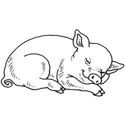 ぬりえページ: 豚 (動物) #3590 - 無料の印刷可能なぬりえページ
