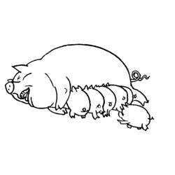 ぬりえページ: 豚 (動物) #3599 - 無料の印刷可能なぬりえページ