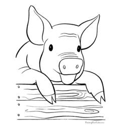 ぬりえページ: 豚 (動物) #3605 - 無料の印刷可能なぬりえページ