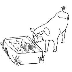 ぬりえページ: 豚 (動物) #3630 - 無料の印刷可能なぬりえページ
