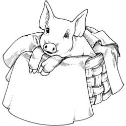ぬりえページ: 豚 (動物) #3642 - 無料の印刷可能なぬりえページ