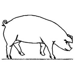 ぬりえページ: 豚 (動物) #3643 - 無料の印刷可能なぬりえページ