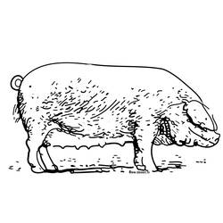 ぬりえページ: 豚 (動物) #3733 - 無料の印刷可能なぬりえページ