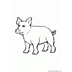 ぬりえページ: 豚 (動物) #3765 - 無料の印刷可能なぬりえページ