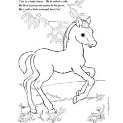 ぬりえページ: ポニー (動物) #17997 - 無料の印刷可能なぬりえページ