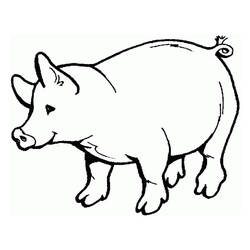 ぬりえページ: 豚肉 (動物) #17621 - 無料の印刷可能なぬりえページ