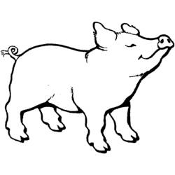 ぬりえページ: 豚肉 (動物) #17622 - 無料の印刷可能なぬりえページ